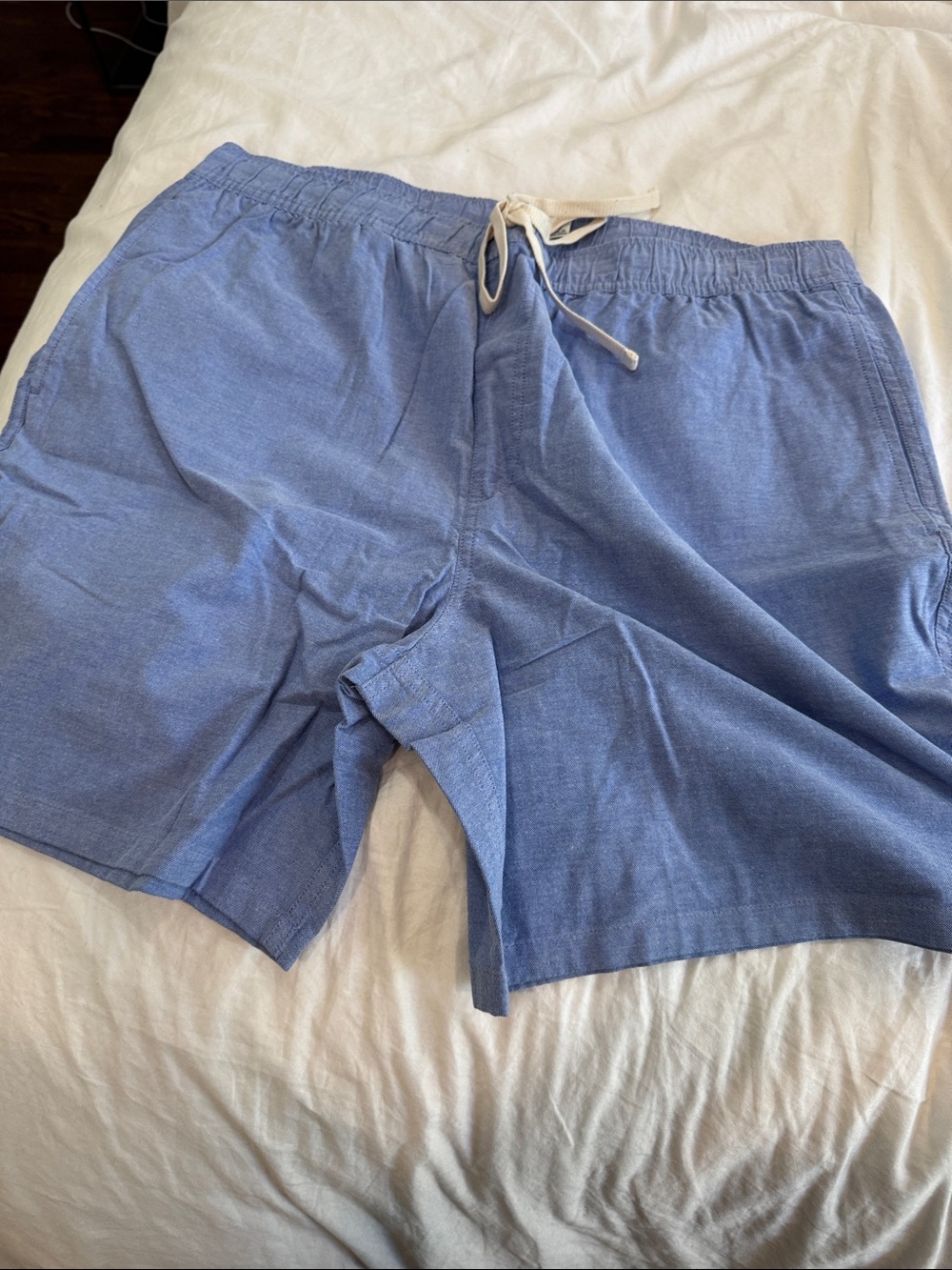J. Crew Chambray Light Blue Shorts